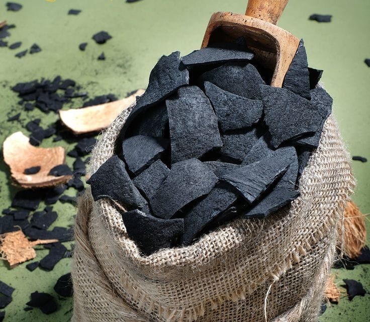 Activated CharCoal 60 Capsules