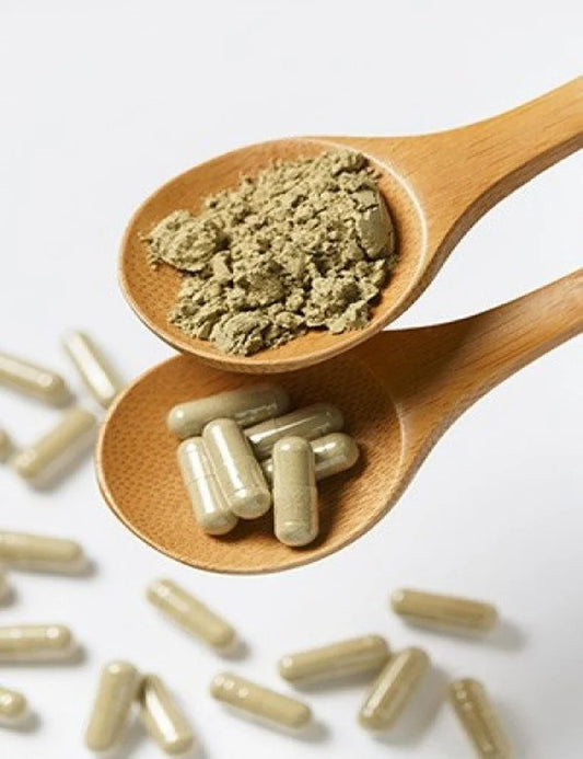 Bladderwrack 60 Capsules